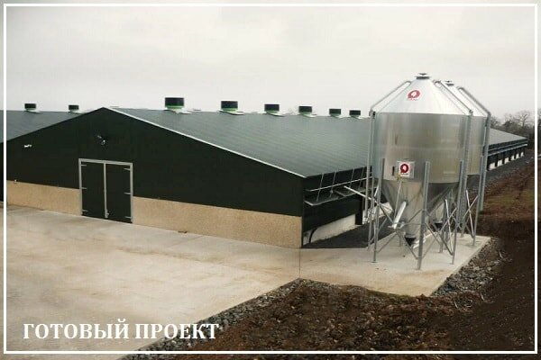 Этапы возведения птицефабрики от завода ВелесТент-кмв